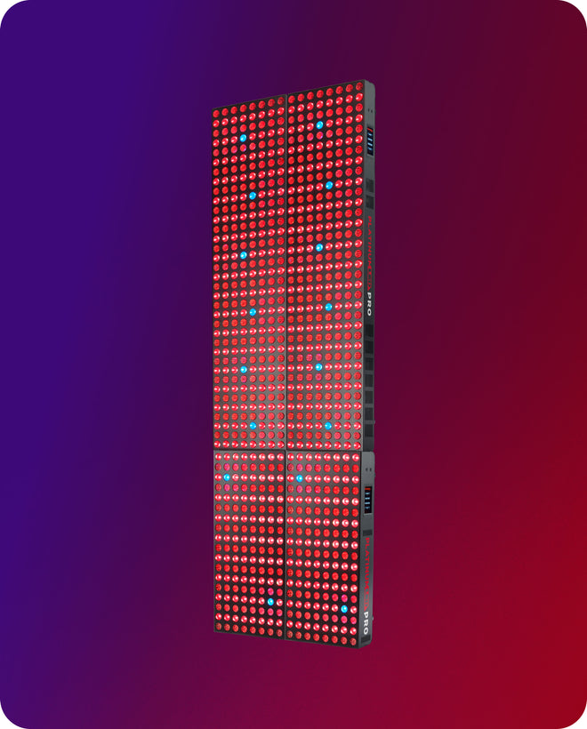 2X-biomax-pro-nano-+-grande_1