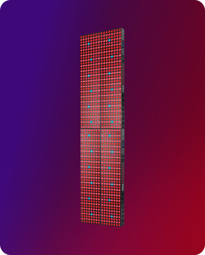 2x-biomax-pro-grande-+-grande_1
